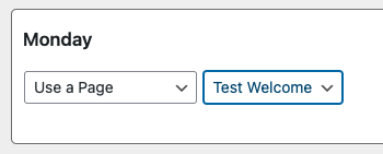 Graphic showing "Use a Page" option