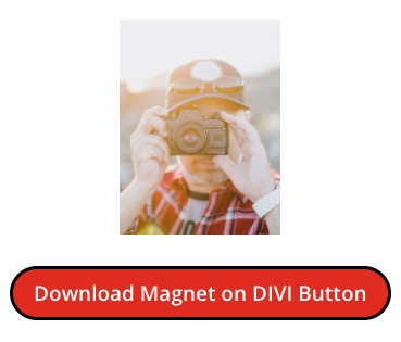 An example of a button added by a page builder, in this case DIVI. 